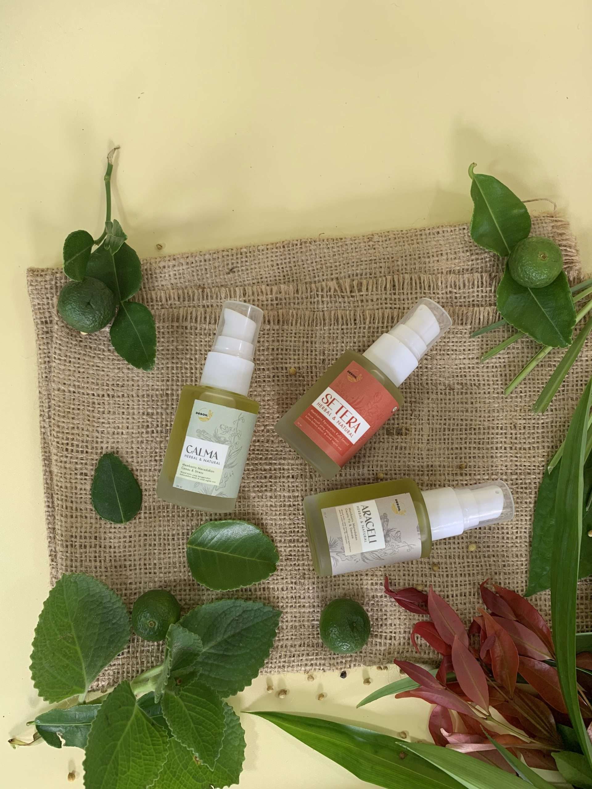 IMG_0737 Minyak Desoil Araceli-Setera dan Calma