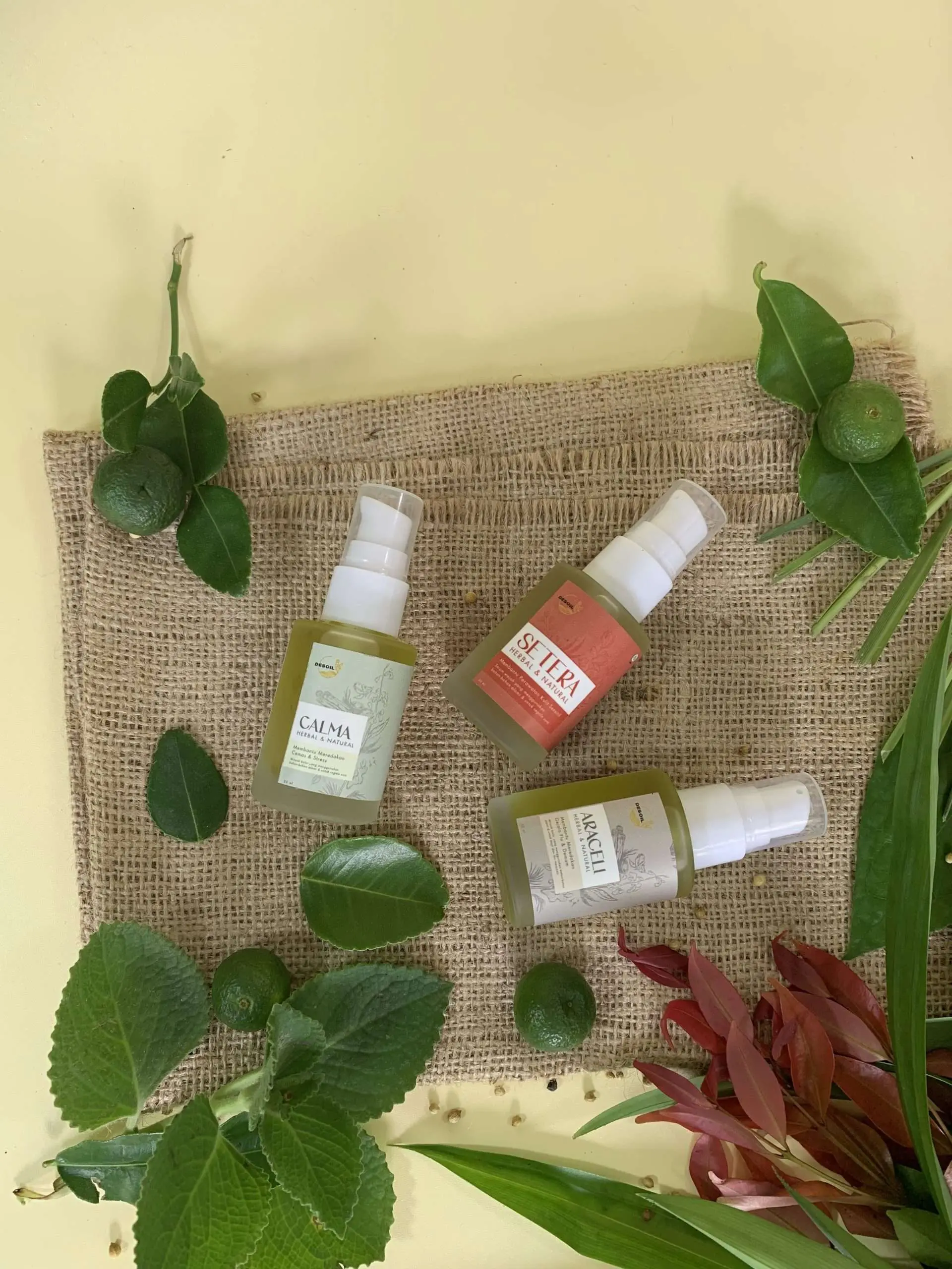 IMG_0737 Minyak Desoil Araceli-Setera dan Calma