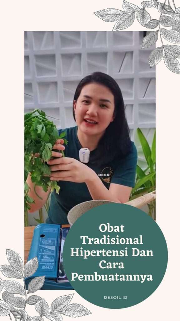Obat-Tradisional-Hipertensi-Dan-Cara-Pembuatannya Obat Tradisional Hipertensi Dan Cara Pembuatannya