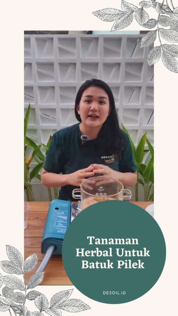 Tanaman-Herbal-Untuk-Batuk-Pilek-Dengan-Resep-Yang-Simpel Tanaman Herbal Untuk Batuk Pilek Dengan Resep Yang Simpel