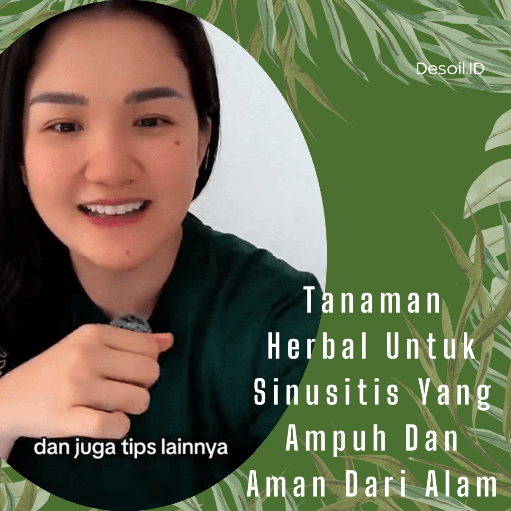 Tanaman-Herbal-Untuk-Sinusitis-Yang-Ampuh-Dan-Aman-Dari-Alam Tanaman Herbal Untuk Sinusitis Yang Ampuh Dan Aman Dari Alam